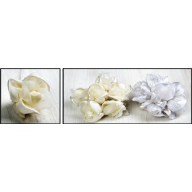 ΛΟΥΛΟΥΔΙ ΟΡΓΑΝΤΙΝΑ ΚΑΙ ΣΑΤΕΝ