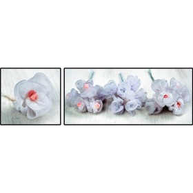 ΛΟΥΛΟΥΔΙ ΟΡΓΑΝΤΙΝΑ ΜΕ ΠΟΝΤΙΚΟΟΥΡΑ