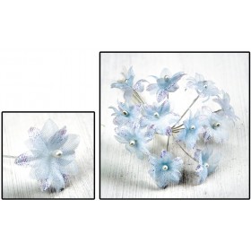 ΛΟΥΛΟΥΔΙ ΟΡΓΑΝΤΙΝΑ ΙΡΙΔΙΖΟΝ ΜΕ ΠΕΡΛΑ