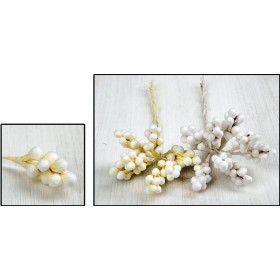 ΛΟΥΛΟΥΔΙ ΑΦΡΟΣ ΚΛΑΔΑΚΙ